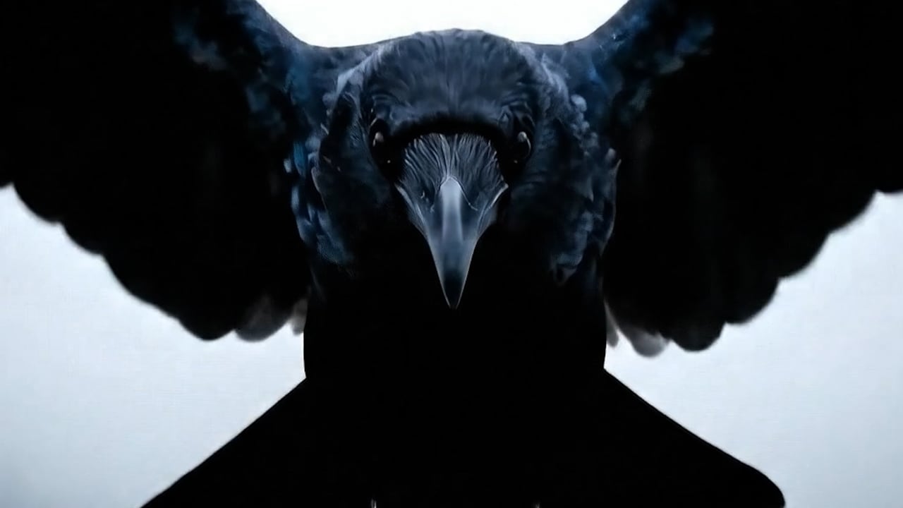 Videokampagne Freindalwirtschoft 2025 — Filmstill aus dem Aftermovie